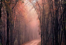 上海申花再次告负，危机重重