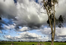 上海申花再次告负，危机重重