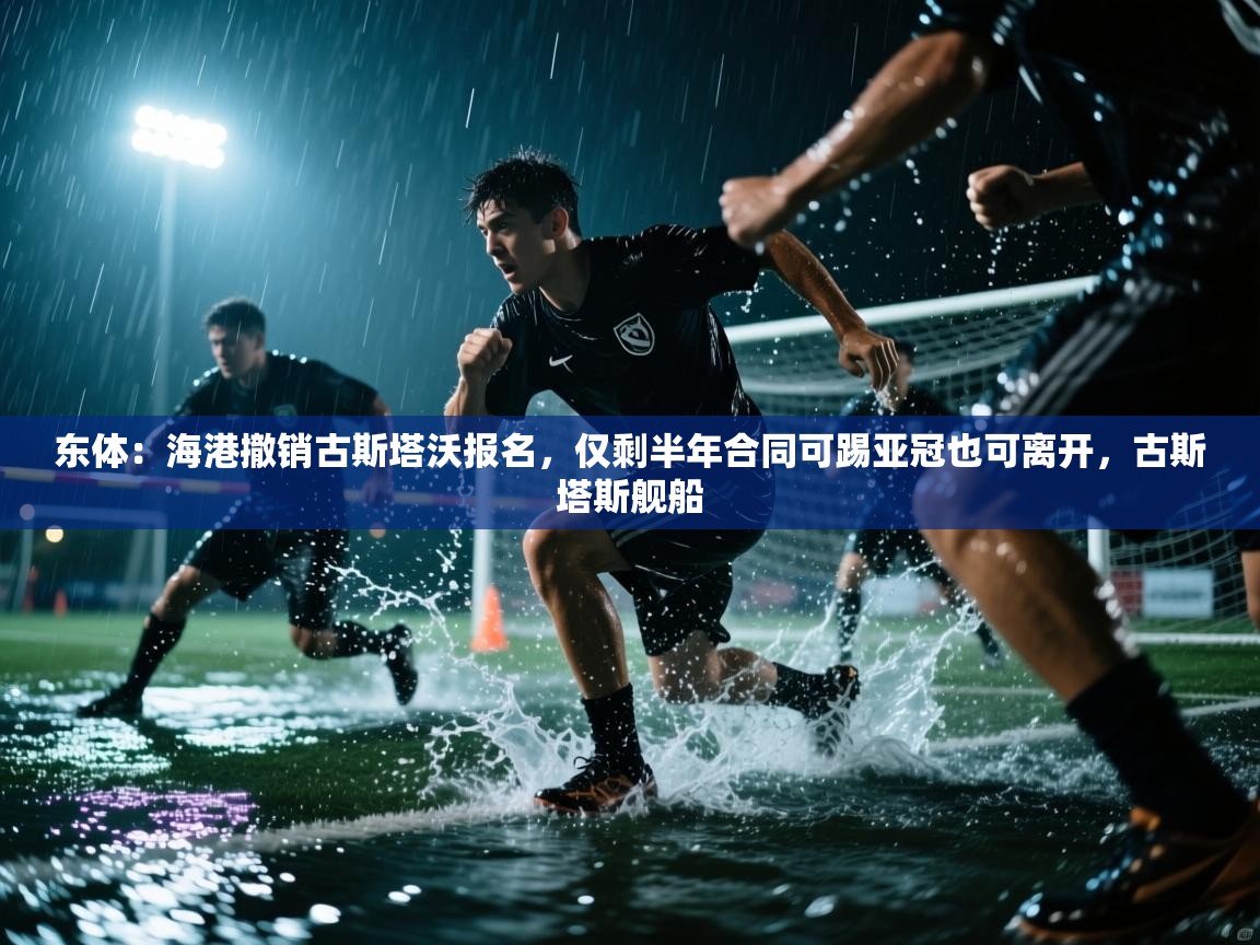 东体：海港撤销古斯塔沃报名，仅剩半年合同可踢亚冠也可离开，古斯塔斯舰船  第2张