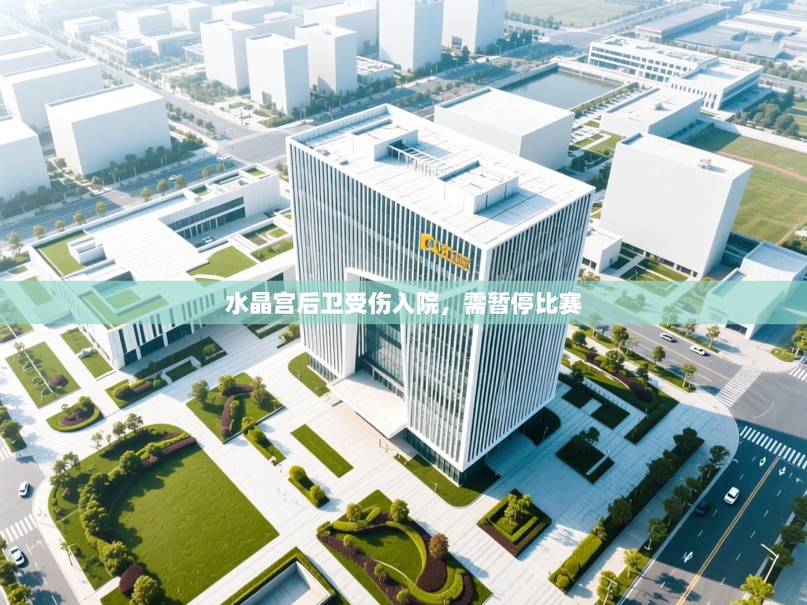 水晶宫后卫受伤入院，需暂停比赛