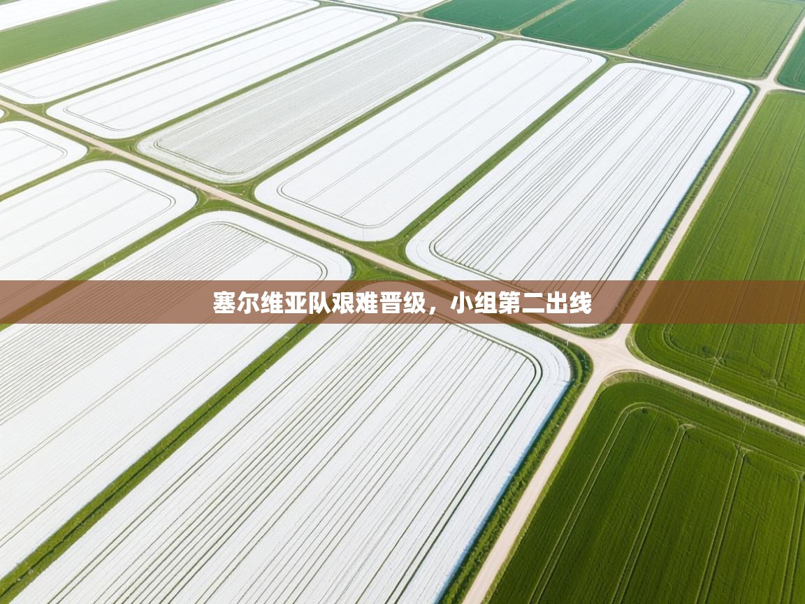 塞尔维亚队艰难晋级，小组第二出线  第2张