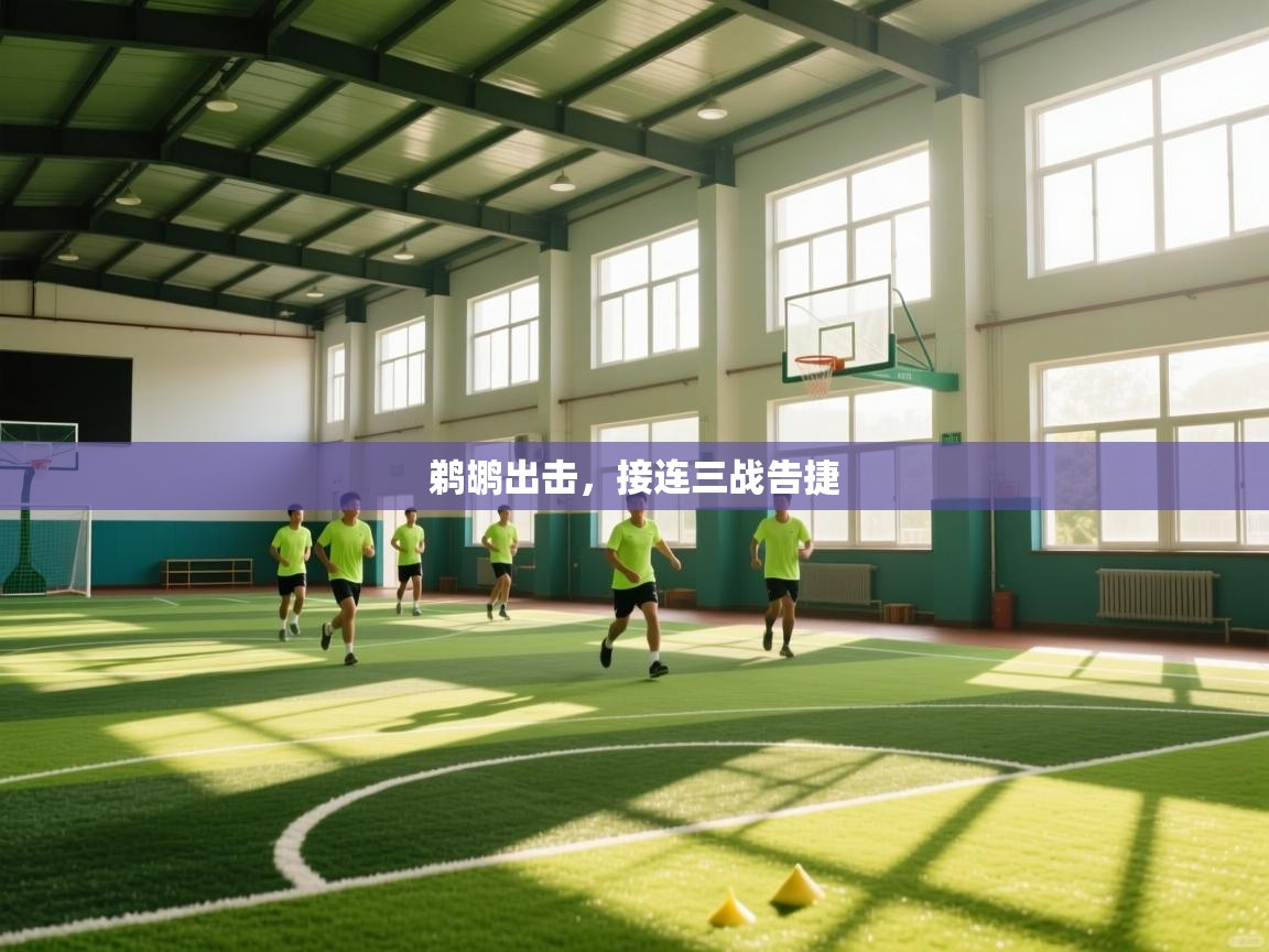 鹈鹕出击，接连三战告捷  第2张